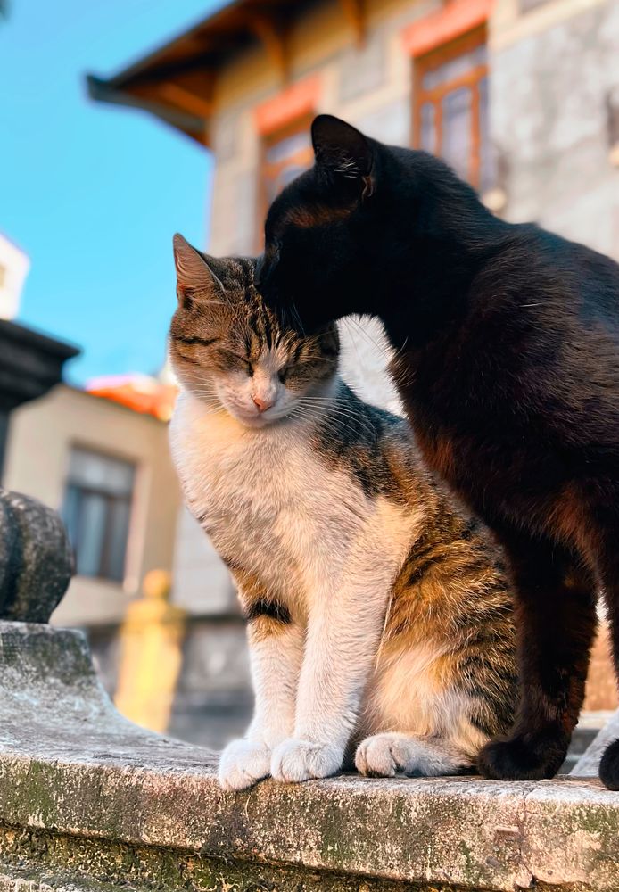 Photograph by Siarhei Saladukhin