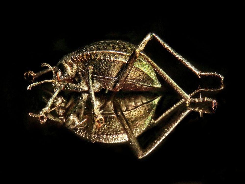 Photograph by Amin Ghaffarian