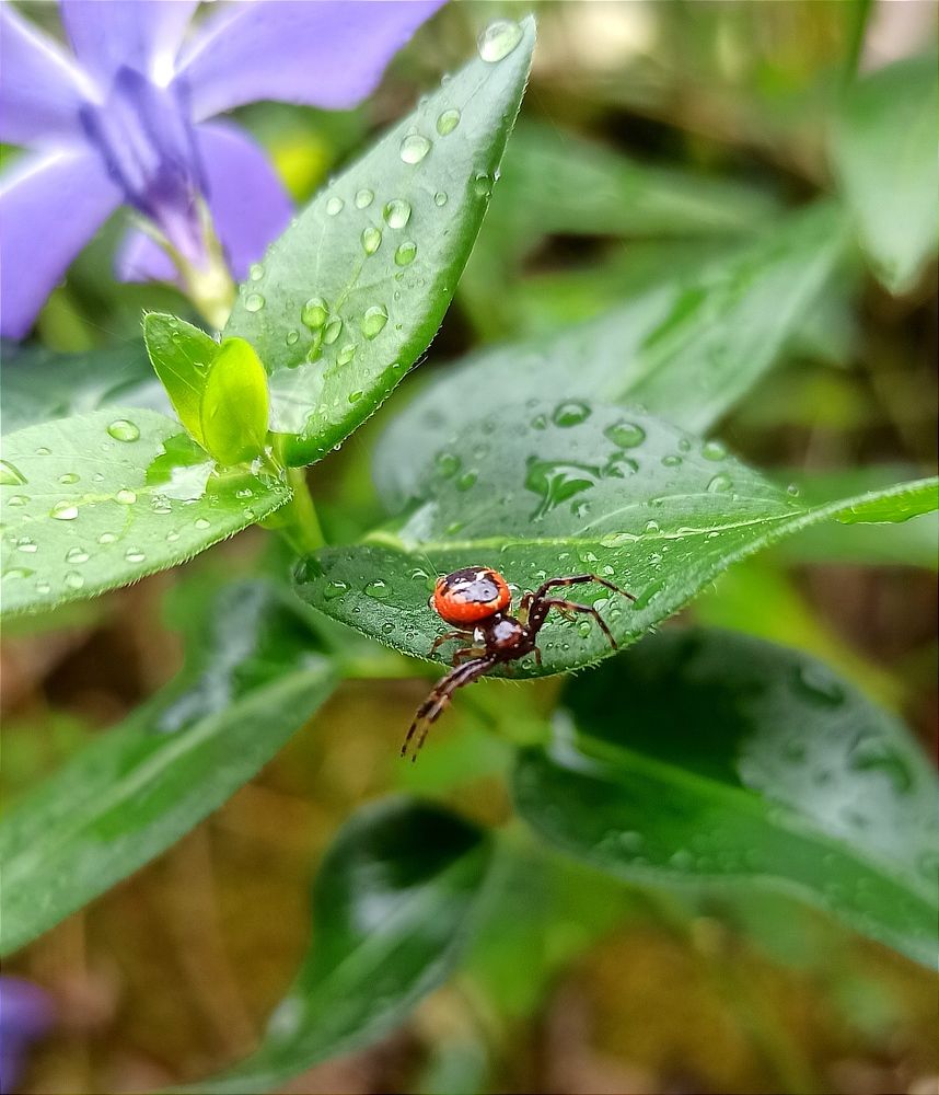 Photograph by Ольга Тихонова