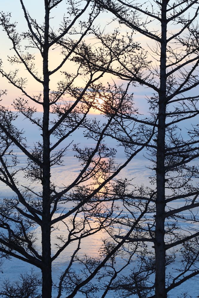 Photograph by Оксана Соколова