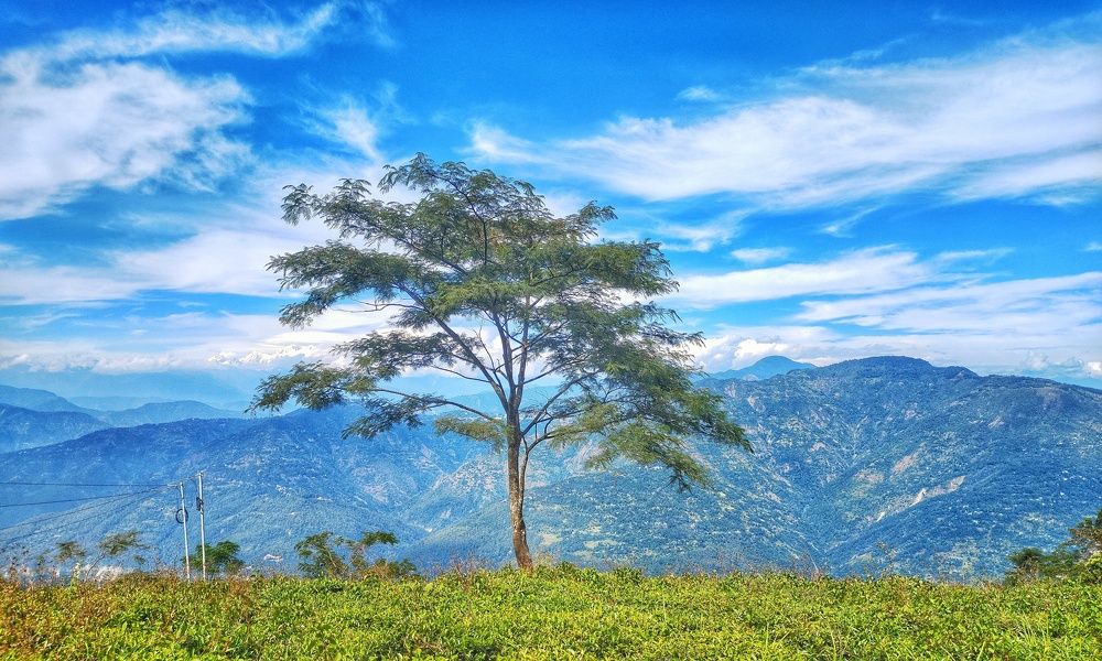 Photograph by Soumyadeb Misra