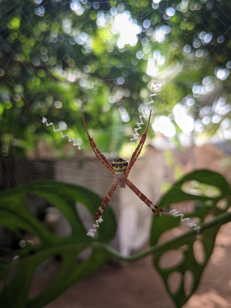 Photograph by DILEKSHAN S HHT KS