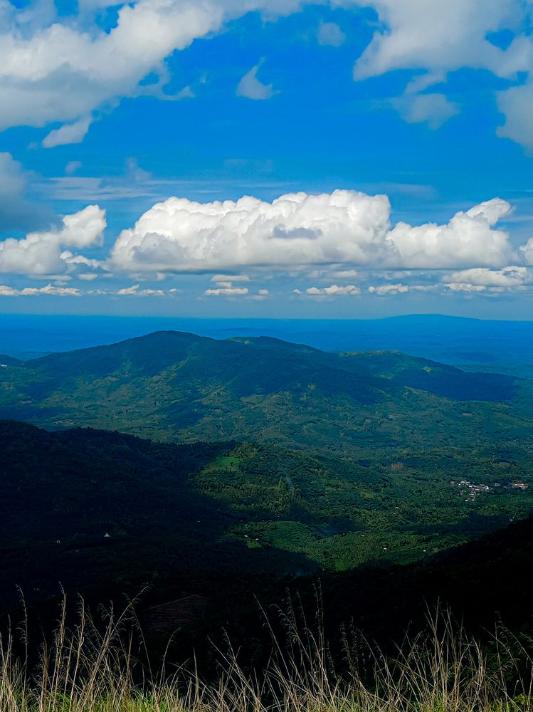 Photograph by Mridhula P M