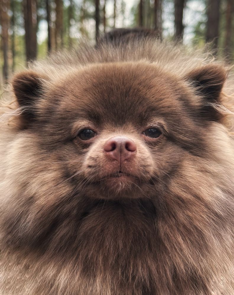 Photograph by Кира Бахвалова