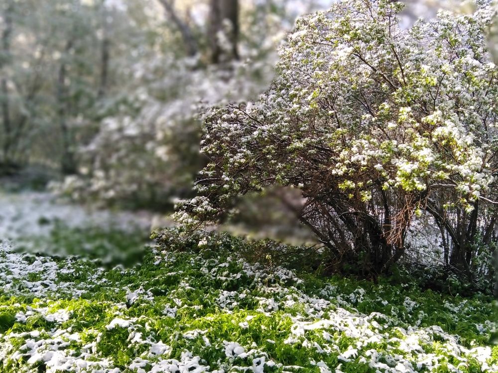Photograph by Екатерина Чеснокова