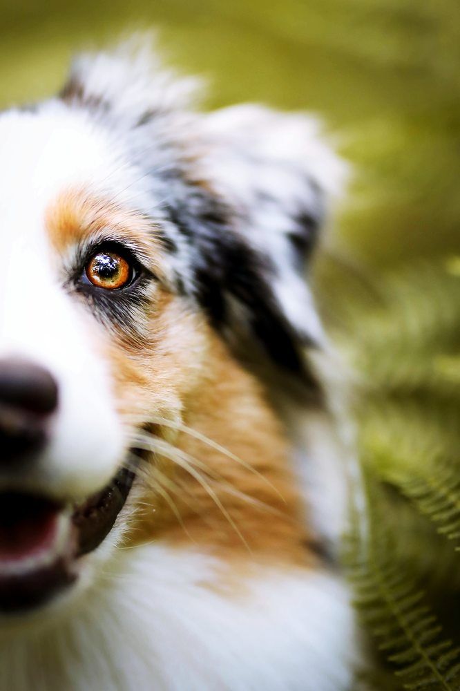 Photograph by Patrycja Dawid