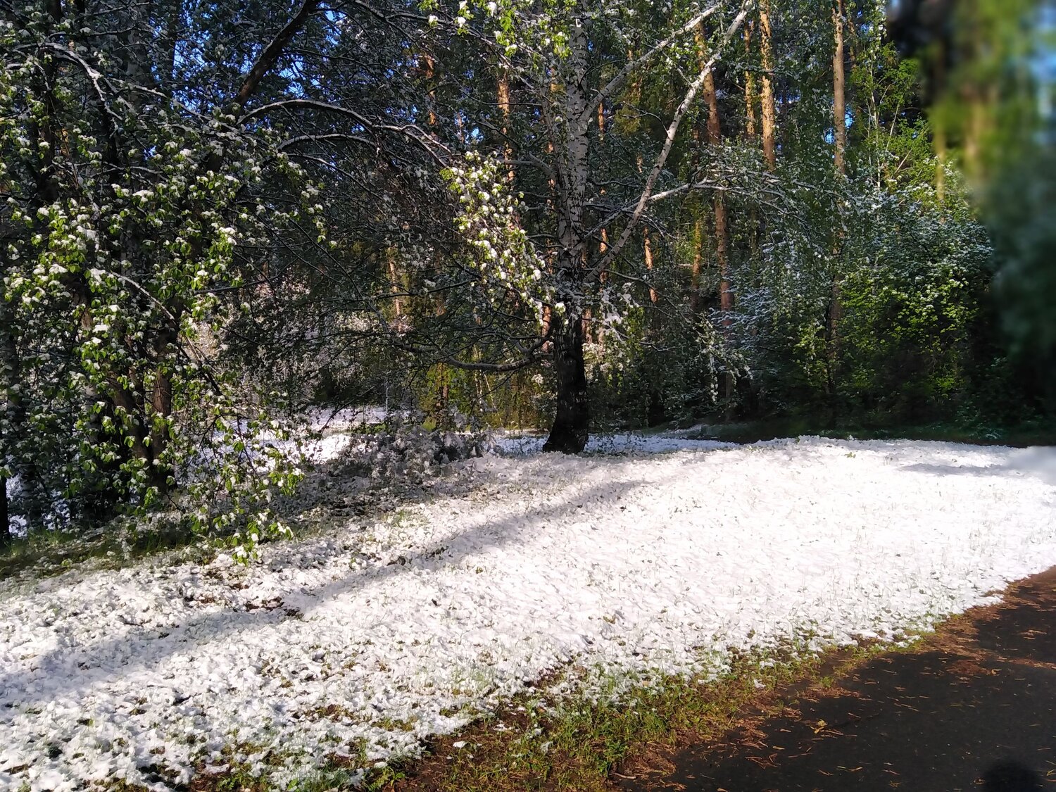Photo #10659038