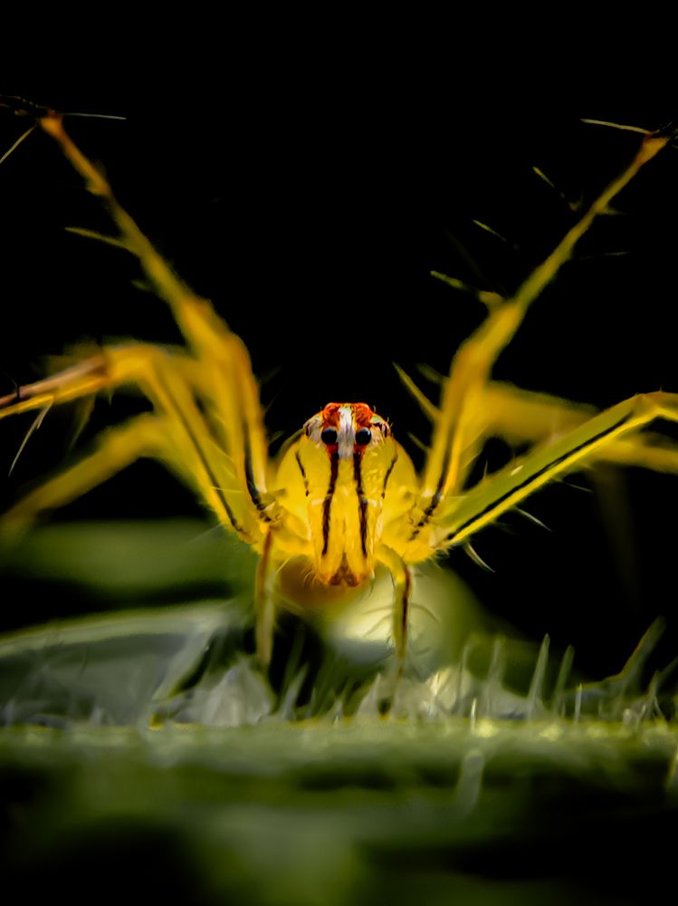 Photograph by Mridhula P M