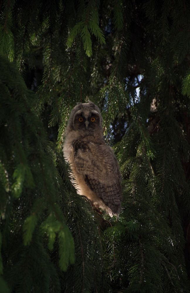 Photograph by Жанна Силаева