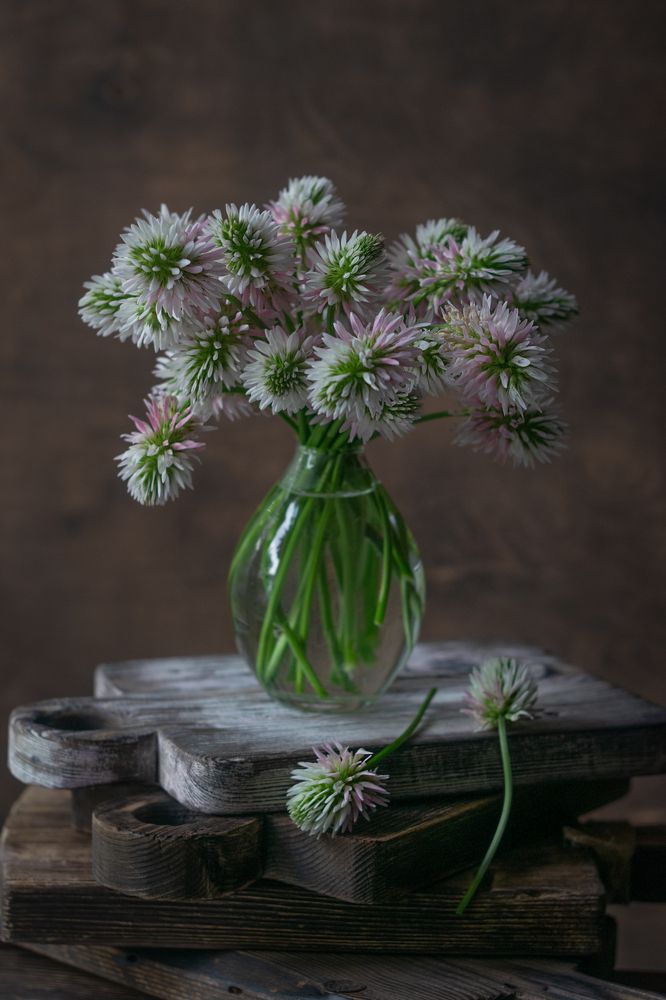 Photograph by Денис Ветренко