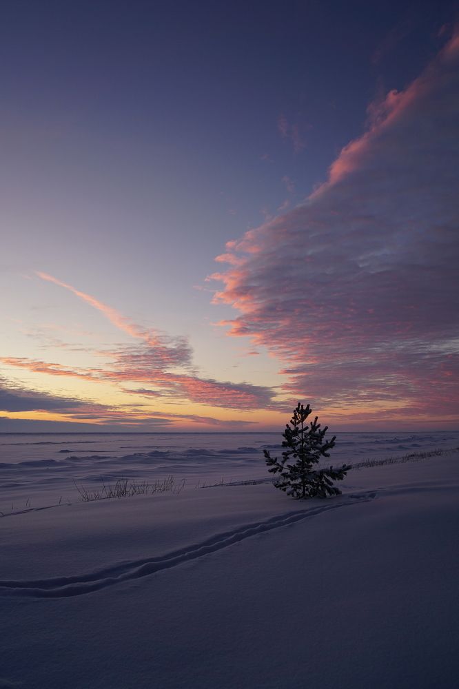 Photograph by Игорь Семеновский