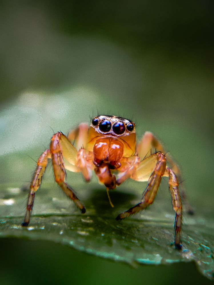 Photograph by Mridhula P M