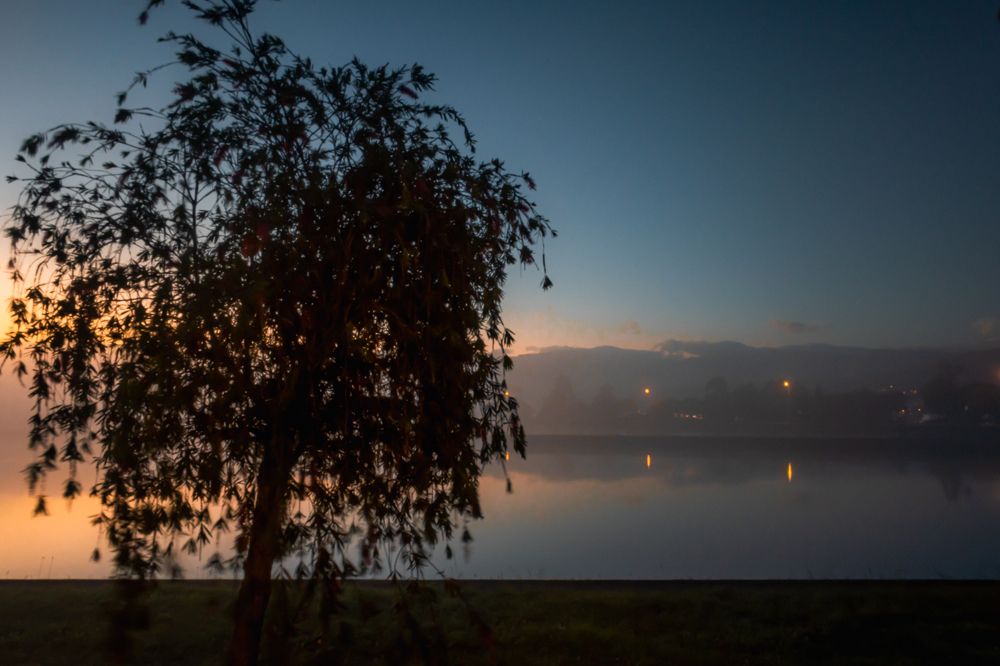 Photograph by Susie Castellano