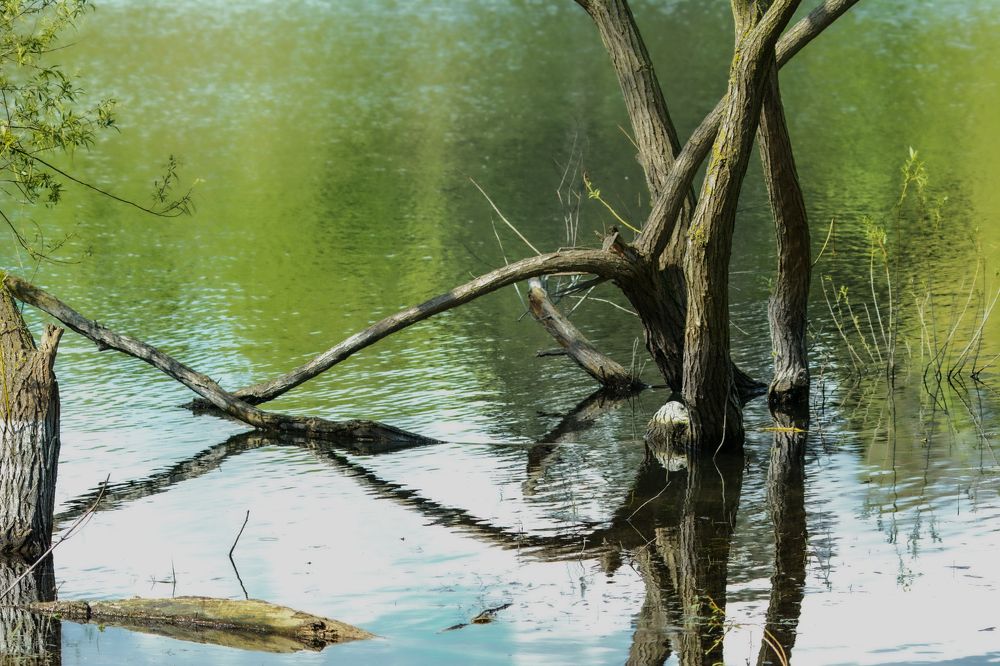 Photograph by Nicole Maria Oestreich