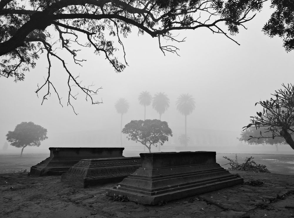 Life and Death