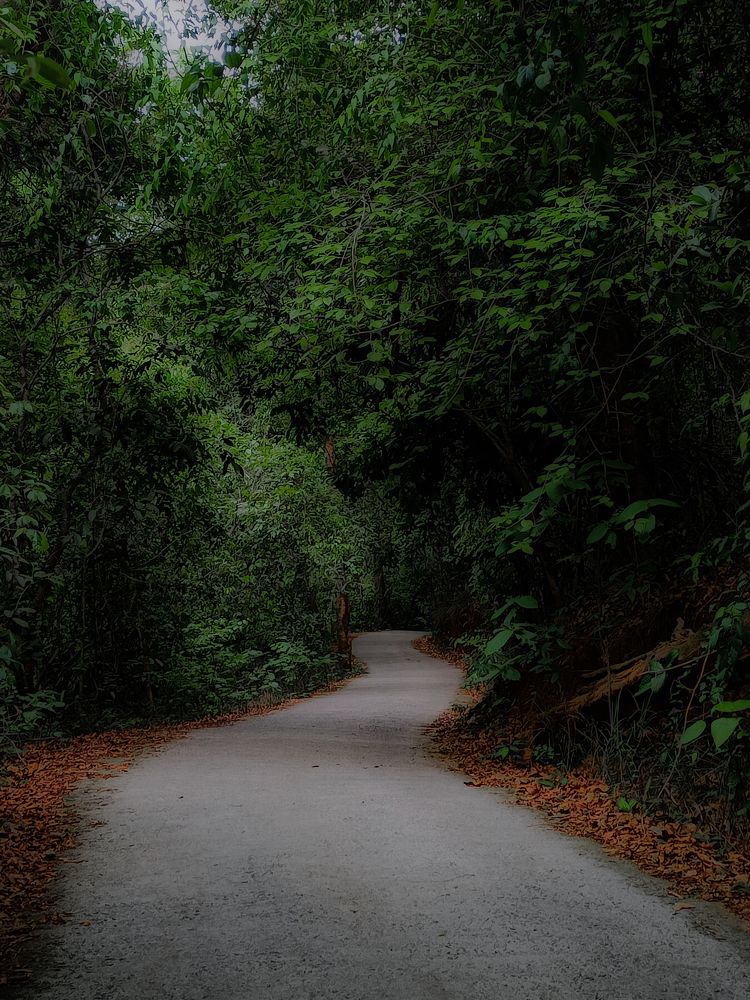 Photograph by Mridhula P M