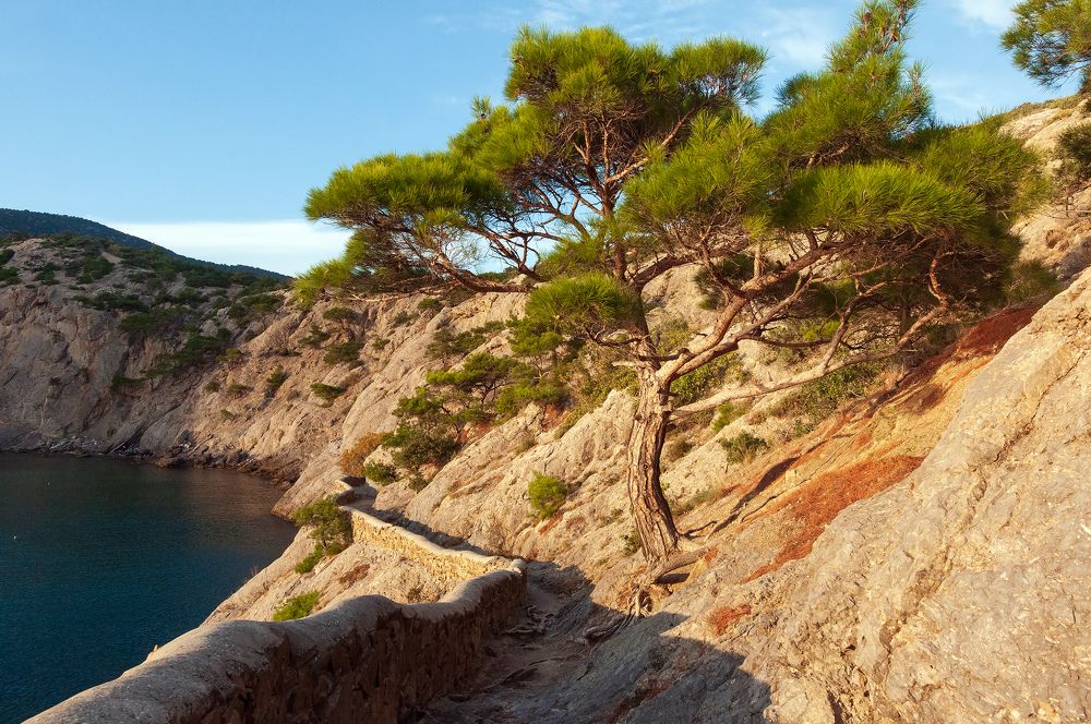Фотография автора Сергей Сынтин