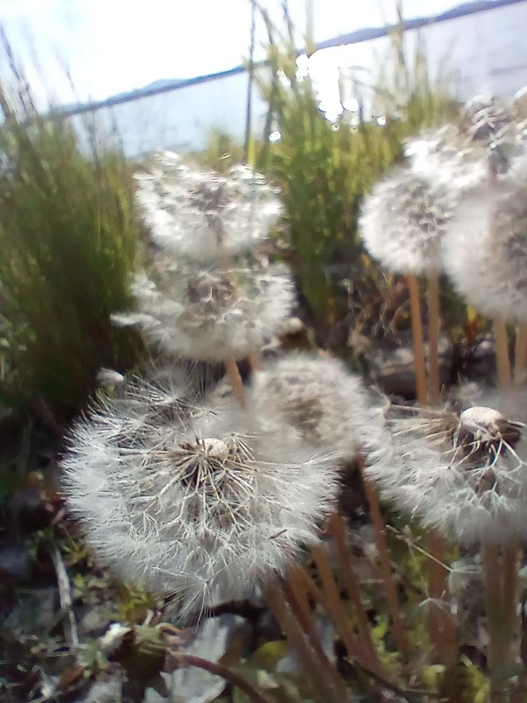 Photograph by Наталья Сырых