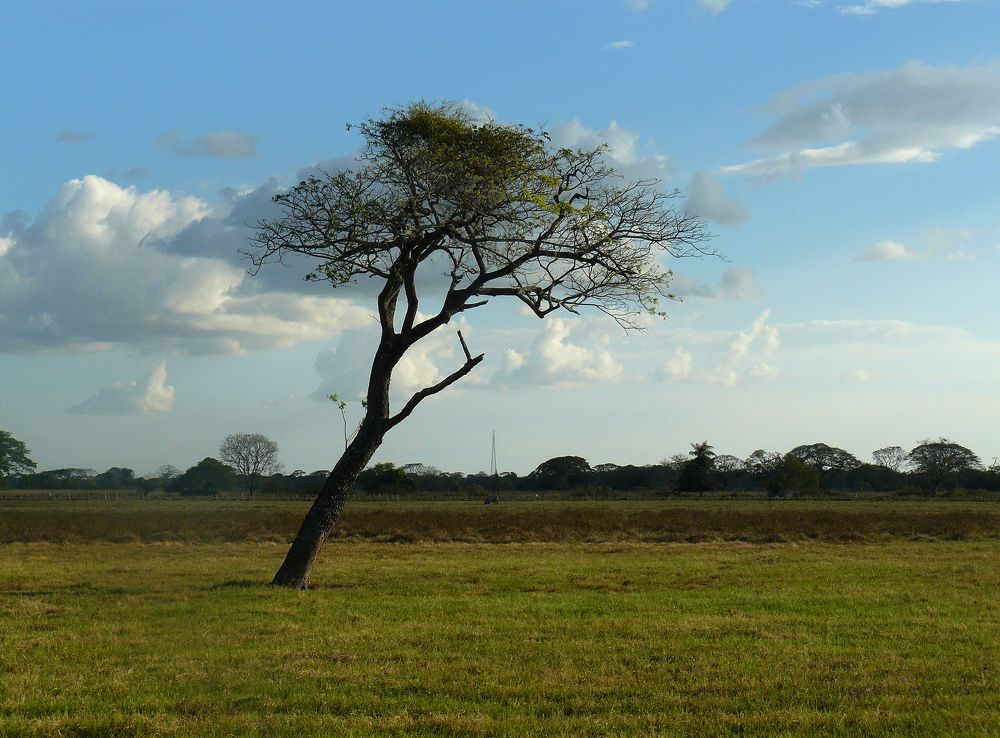 Photograph by GLEYDA GUTIÉREZ