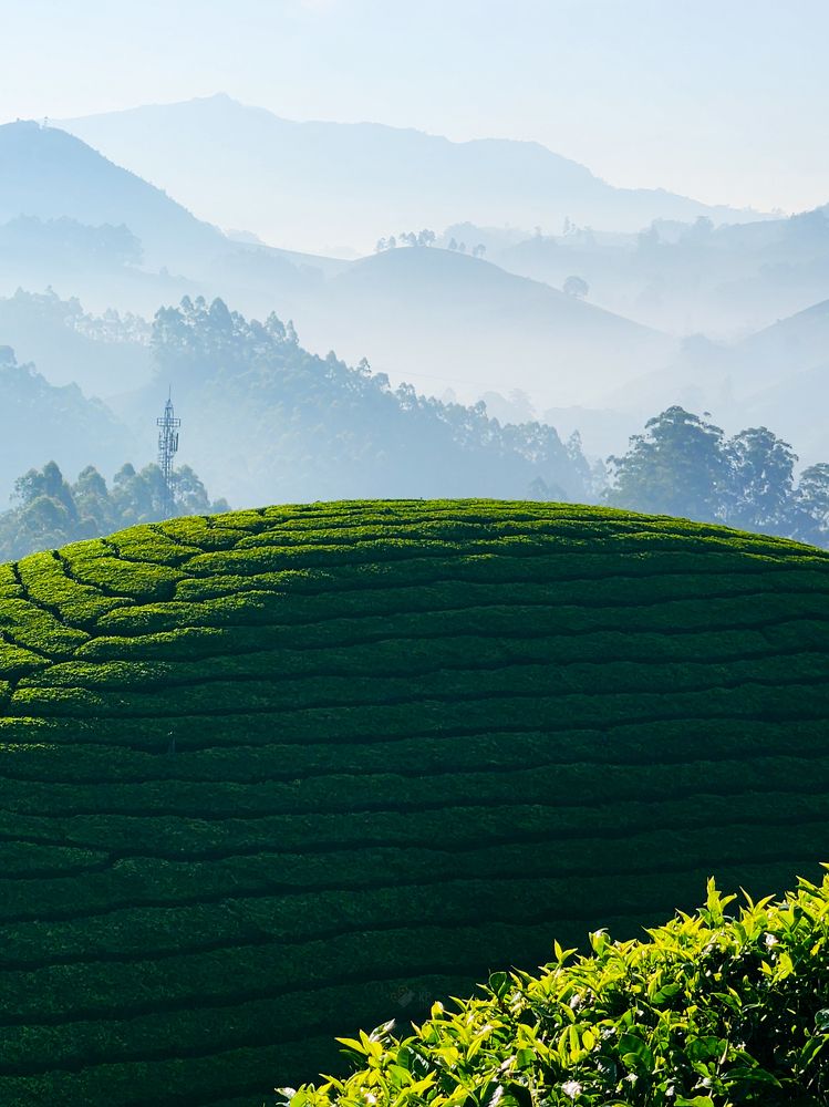 Photograph by Kunal Patil