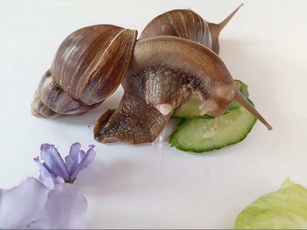 Photograph by Наталья Сырых