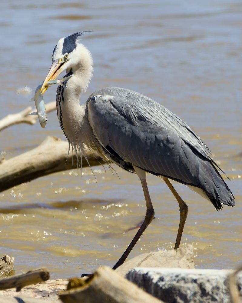 Photograph by Fil Tsiplyonkov