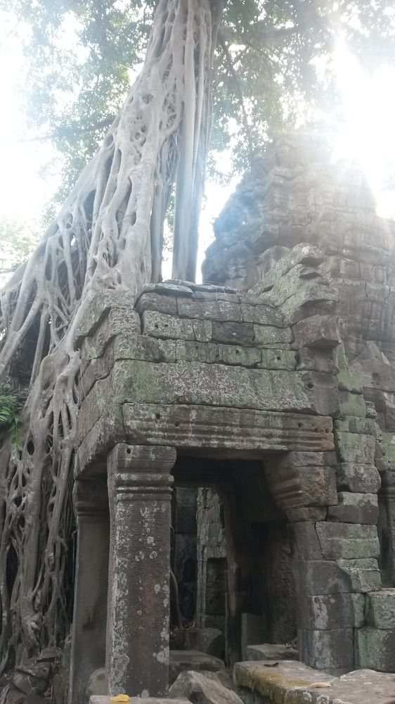 Фотография автора Natalia Khodina