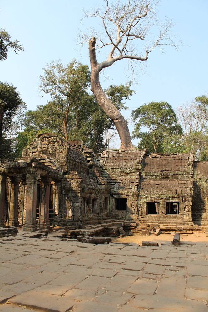 Фотография автора Natalia Khodina