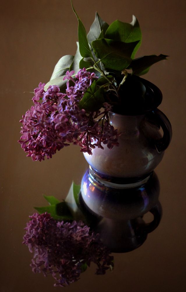 Photograph by Зоя Быкова