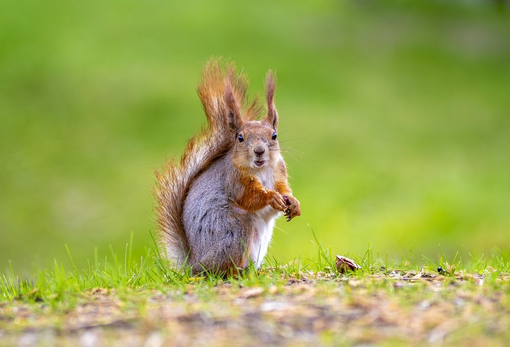Фотография автора Дмитрий Кетов