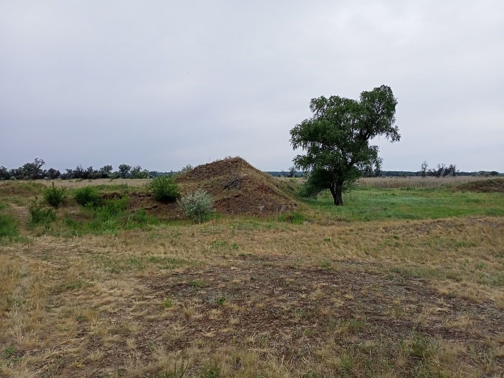 Photograph by Адамян Анна