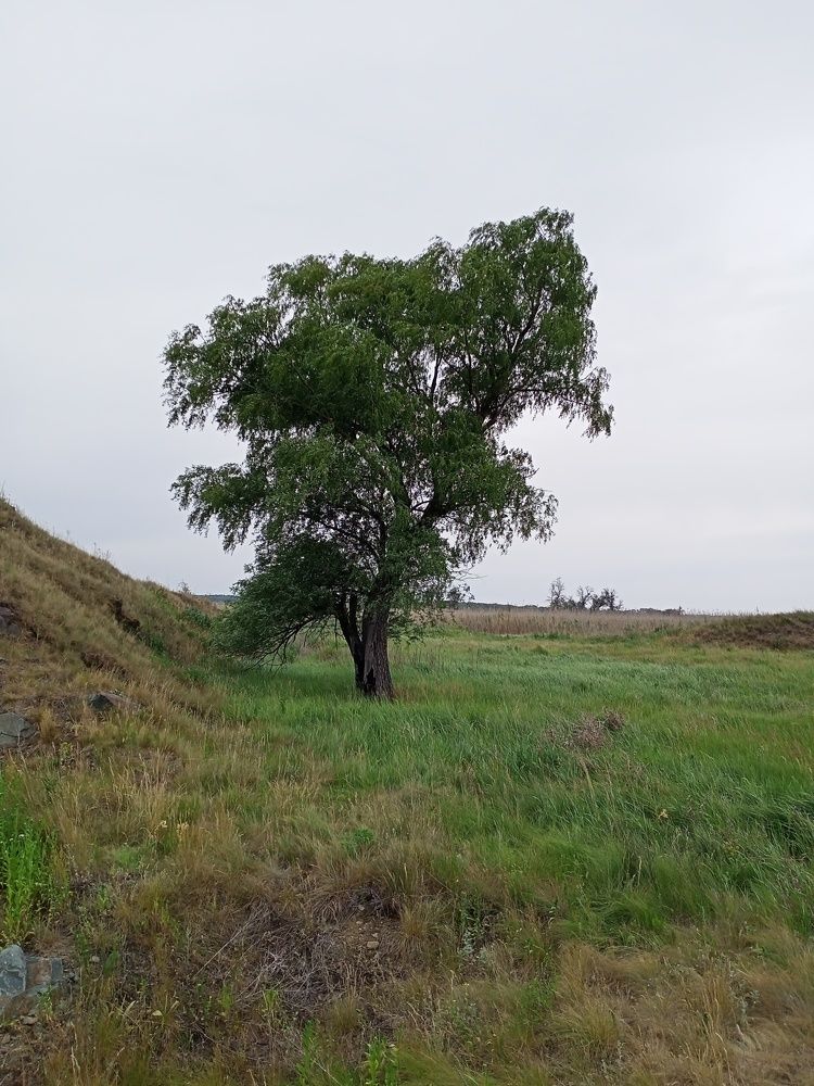 Photograph by Адамян Анна