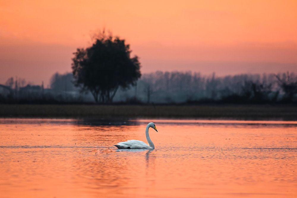 Photograph by Karen Falah