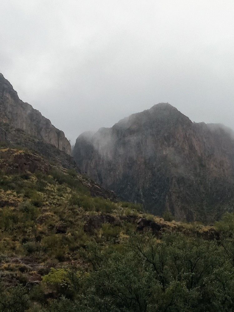Photo #10659321