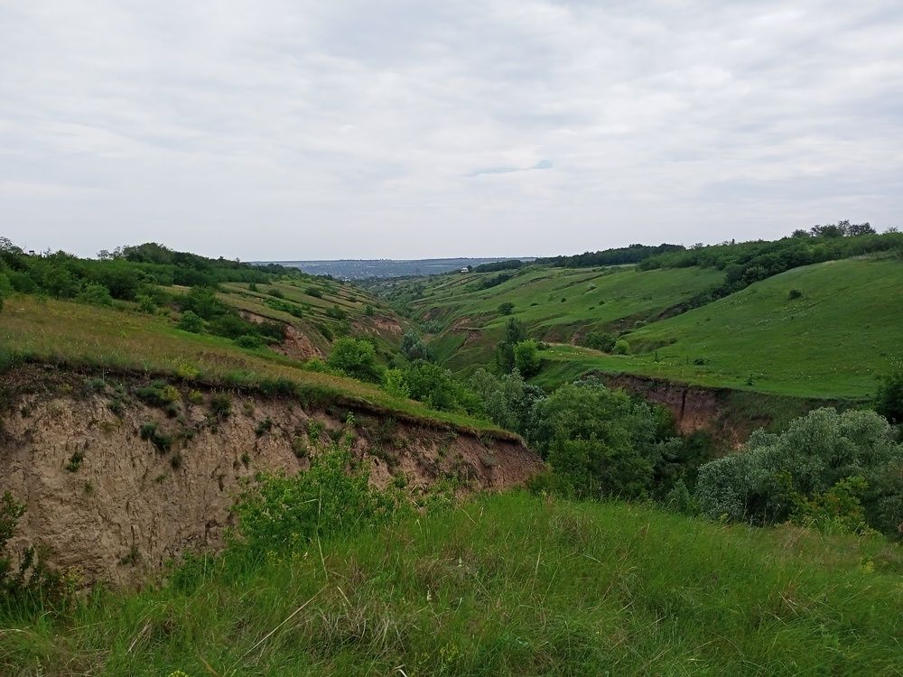 Photograph by Адамян Анна