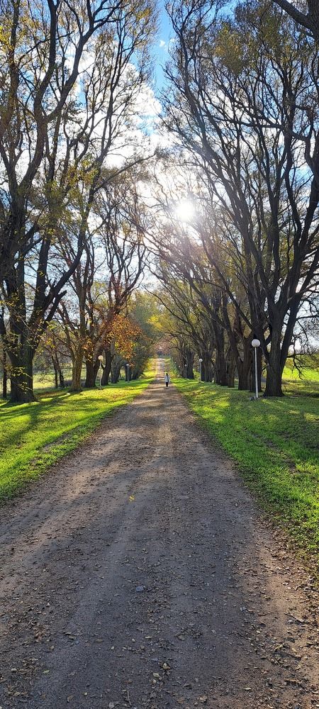 Фотография автора gustavo pecelis