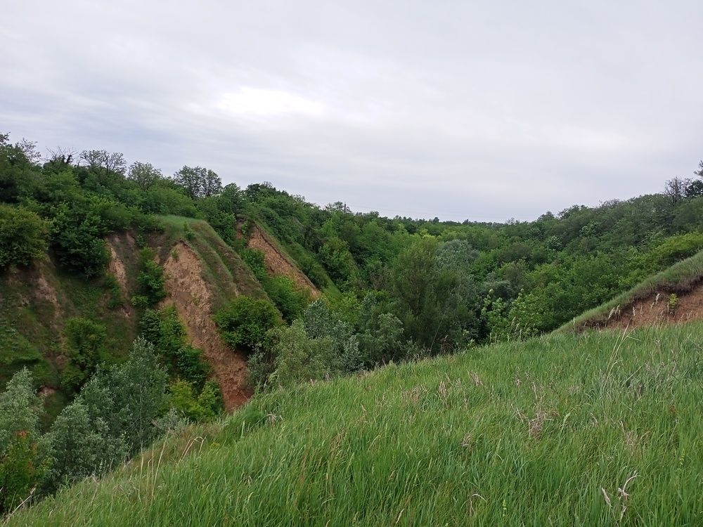 Photograph by Адамян Анна