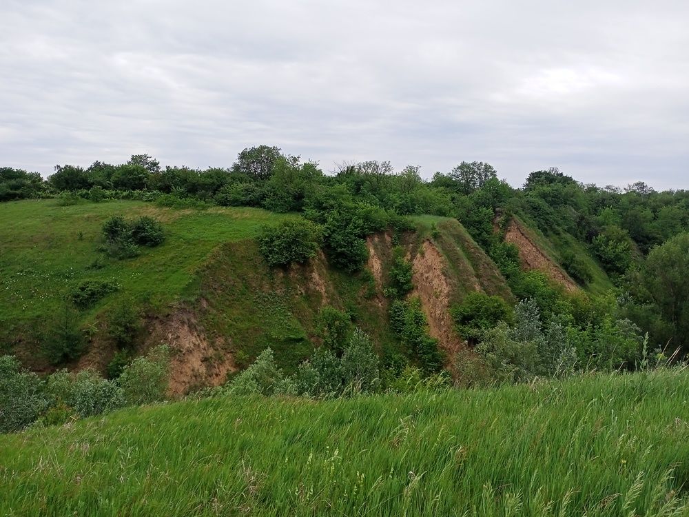 Photograph by Адамян Анна