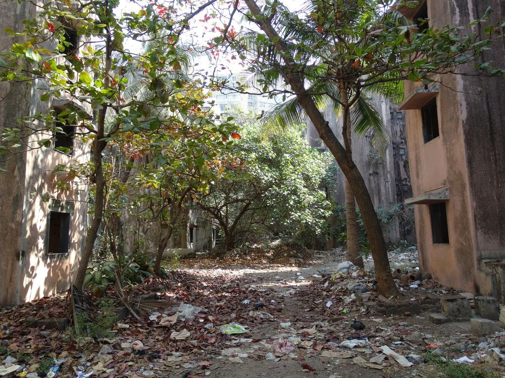 Photograph by Виктор