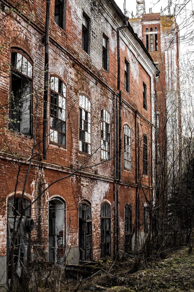 Photograph by Почечуй Андрей