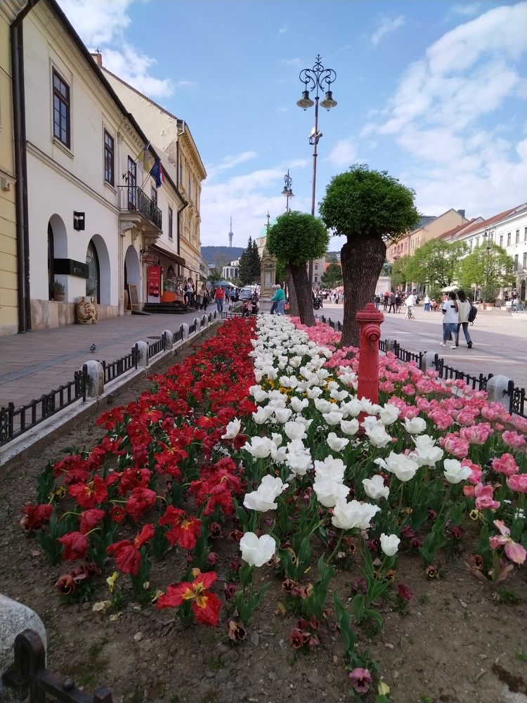 Фотография автора Danica Utjesinovic