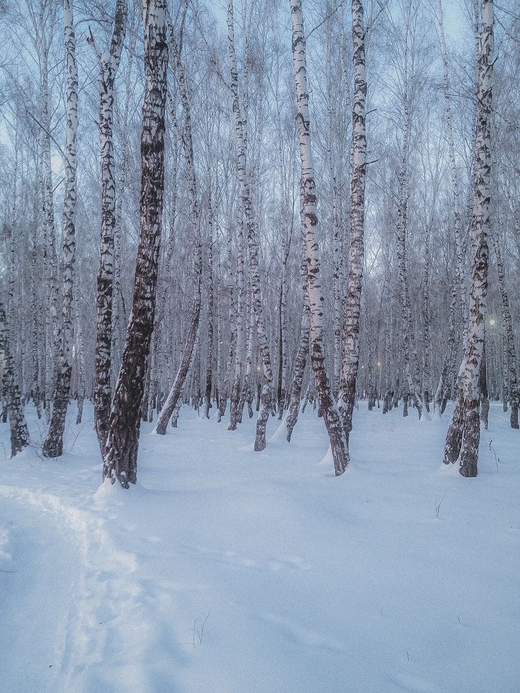 Photograph by Denis Trushtin