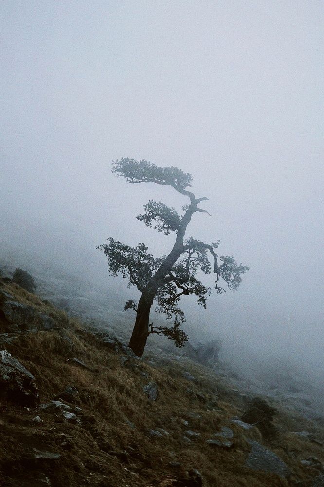 Photograph by Екатерина Клюваченко