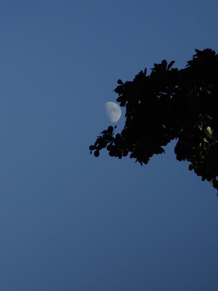 Photograph by Ivan Avitia