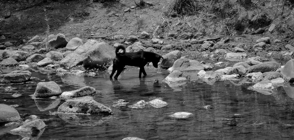 Photograph by Ivan Avitia