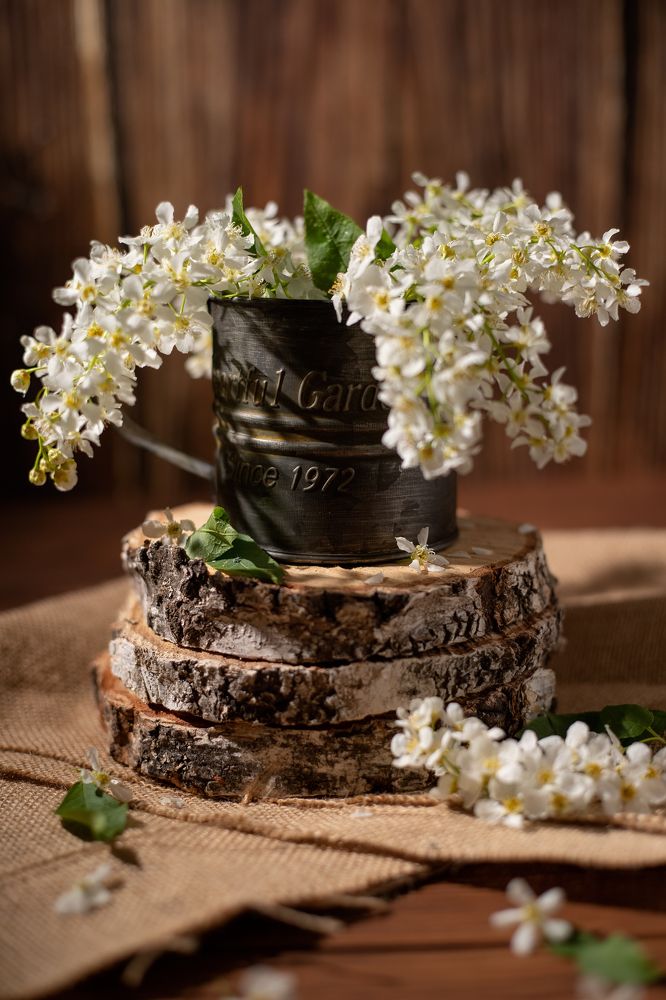 Photograph by Ирина Зиннурова