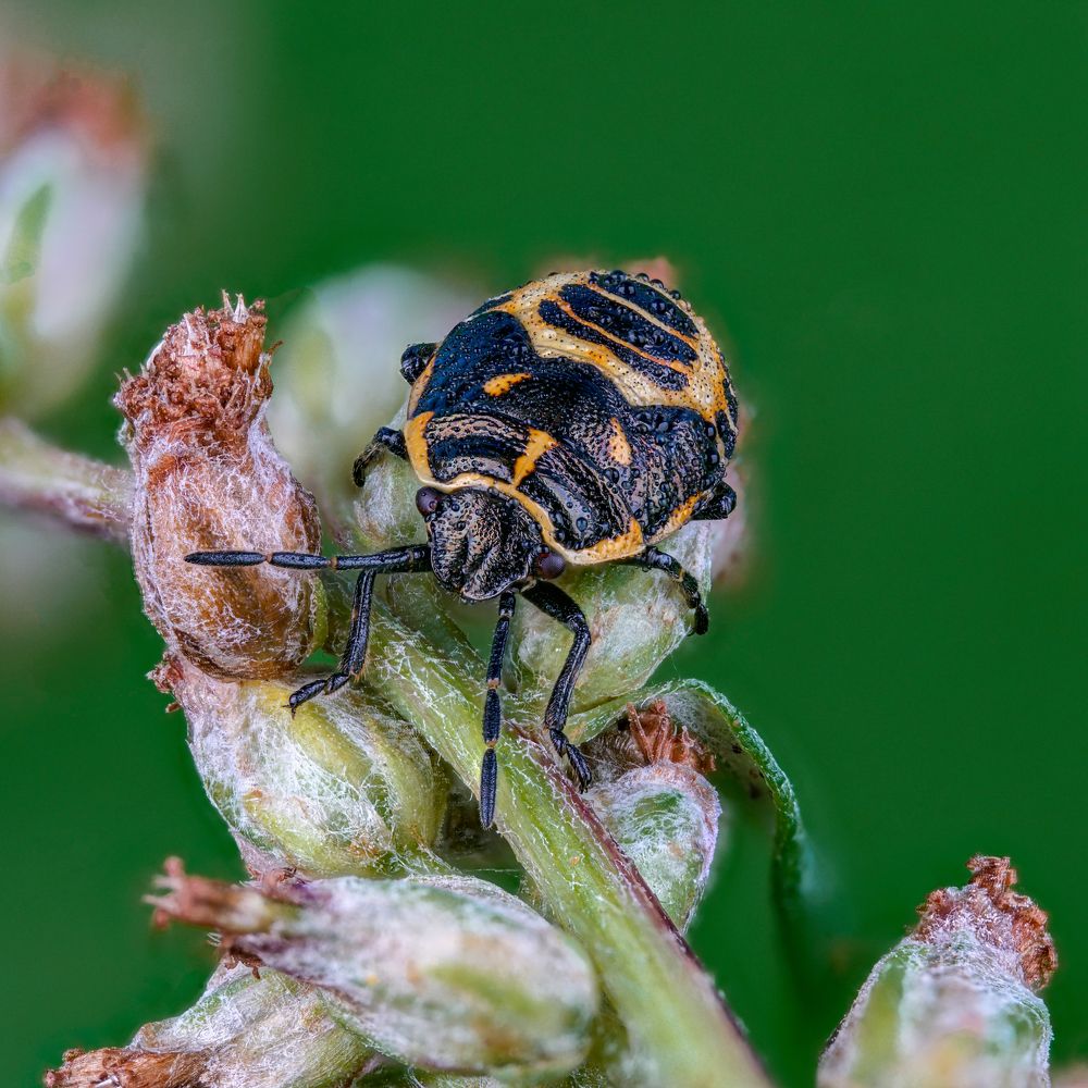 Photograph by Овечкин Павел