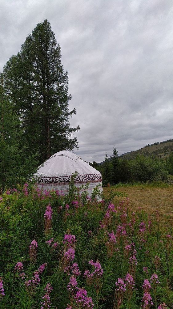 Photograph by Юлия Холомцева