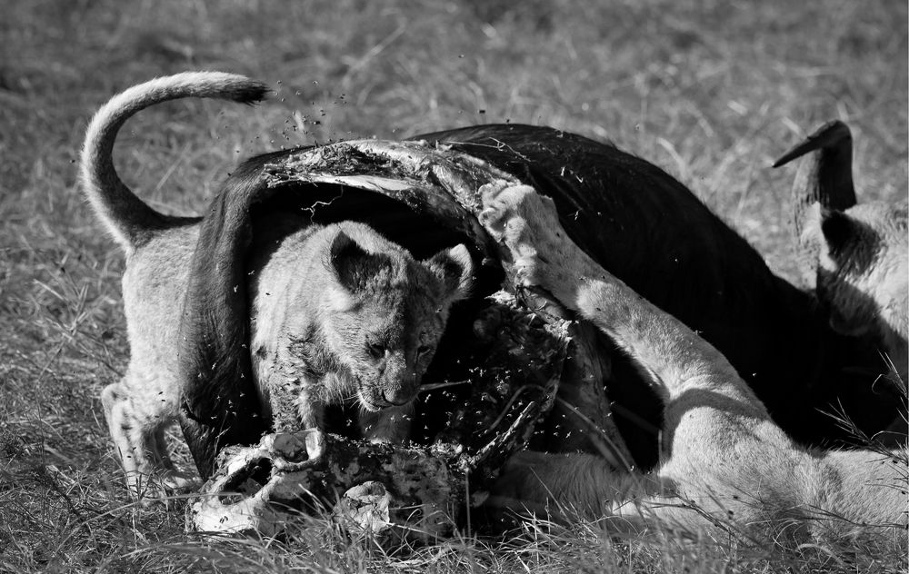 Photograph by Popiyakova Natalia