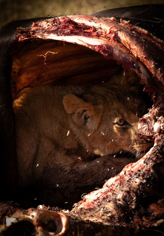 Photograph by Popiyakova Natalia